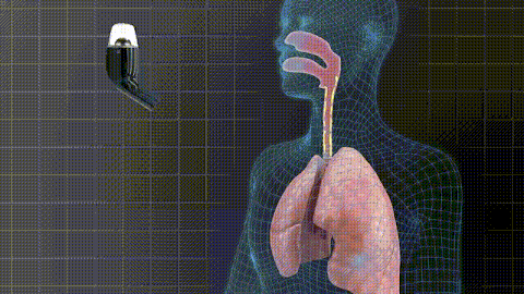 Animation showing how AirPhysio works through the airways and lungs